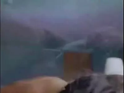 لیٹینا کے منہ میں سہ